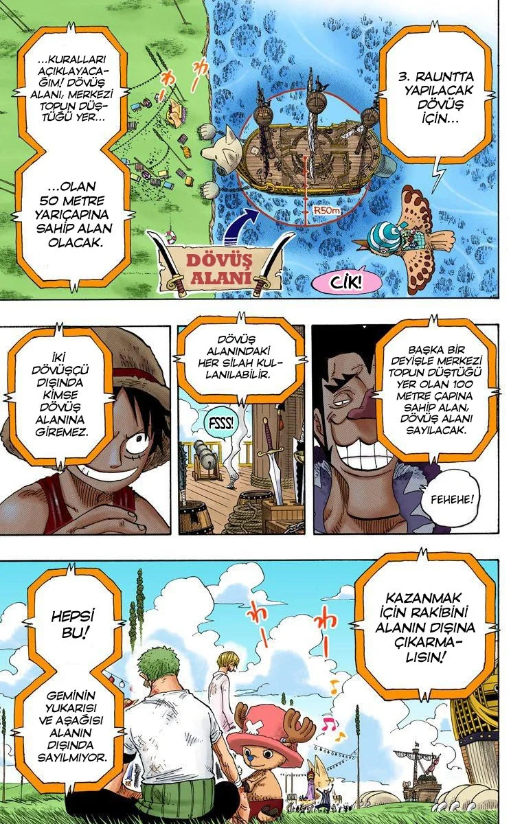 One Piece - Bölüm 313 - Sayfa 13