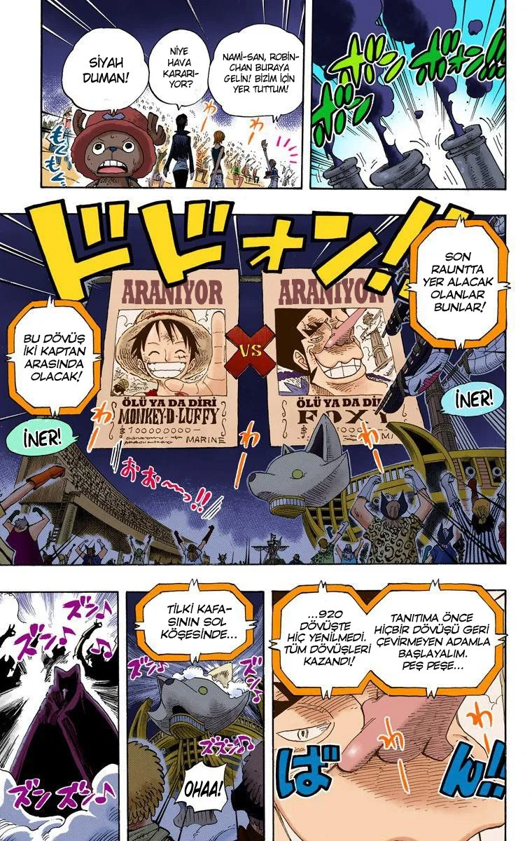 One Piece - Bölüm 313 - Sayfa 17
