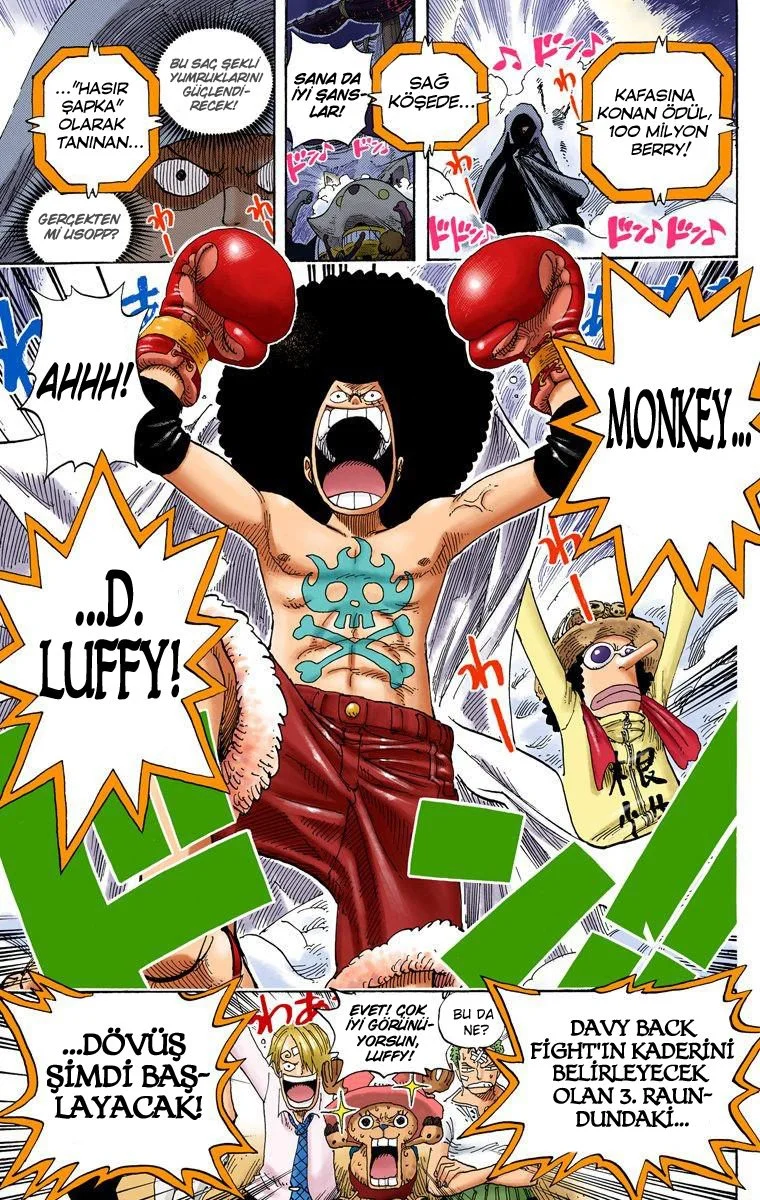 One Piece - Bölüm 313 - Sayfa 19