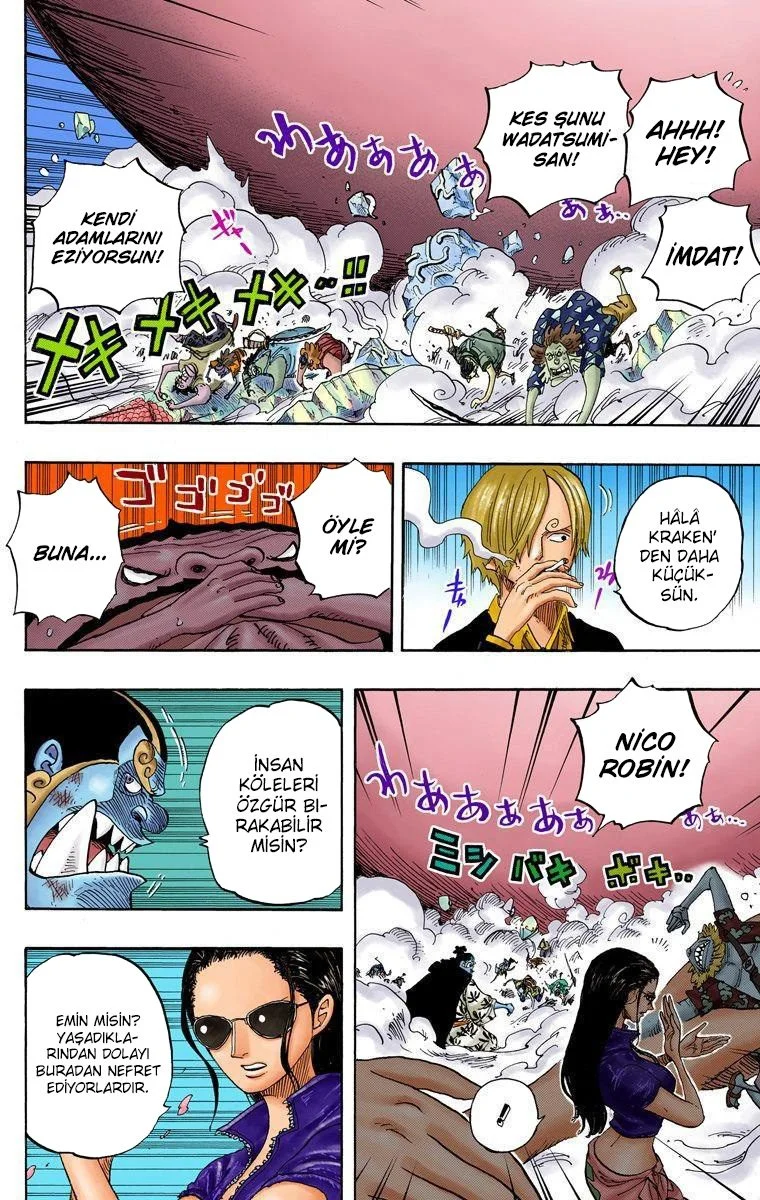 One Piece - Bölüm 642 - Sayfa 13