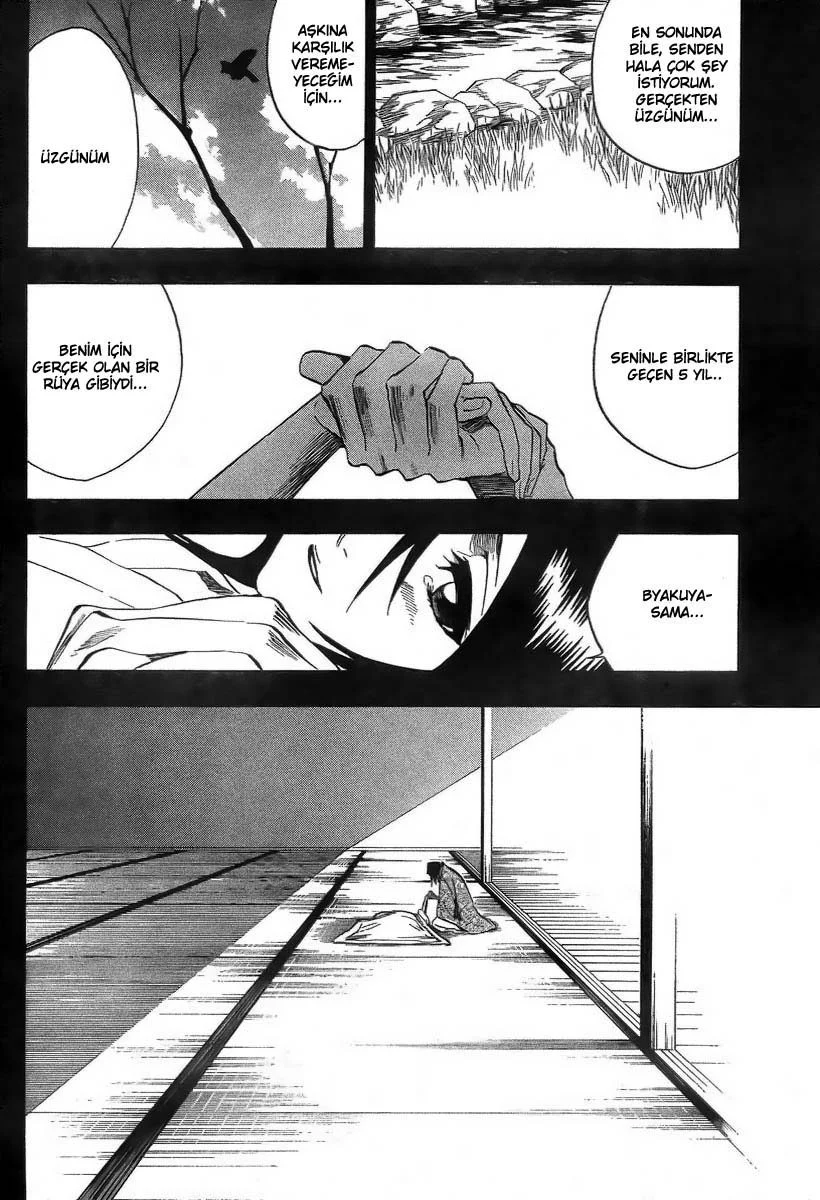 Bleach - Bölüm 179 - Sayfa 13