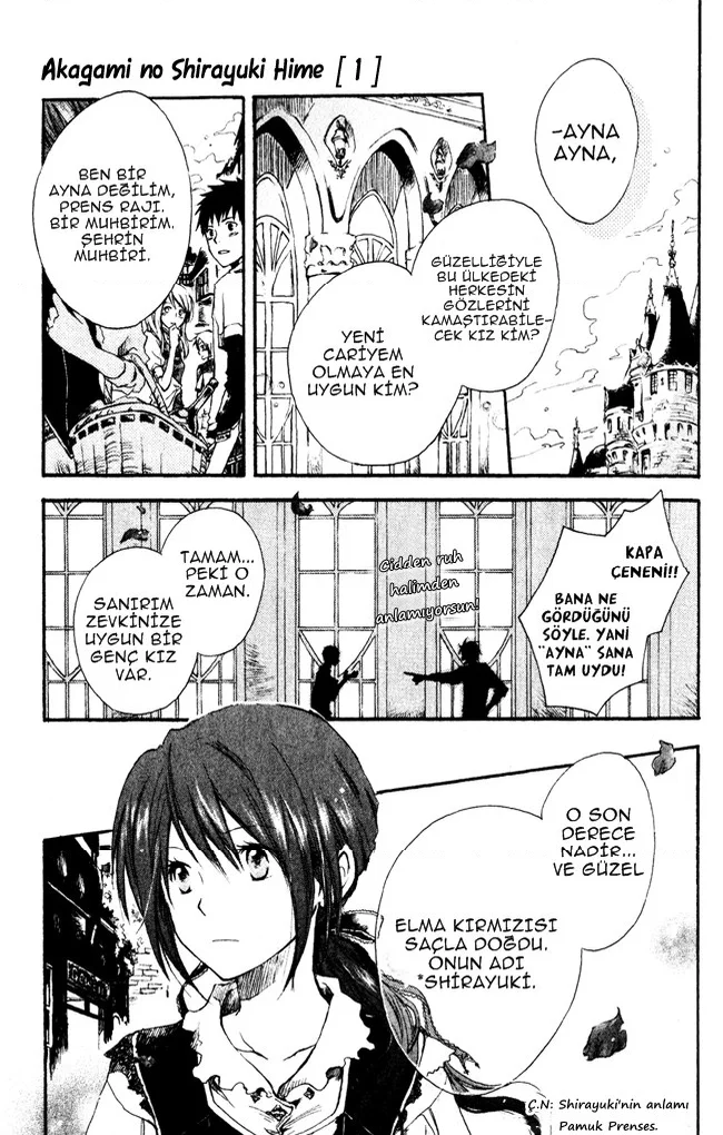 Akagami no Shirayukihime - Bölüm 1 - Sayfa 6