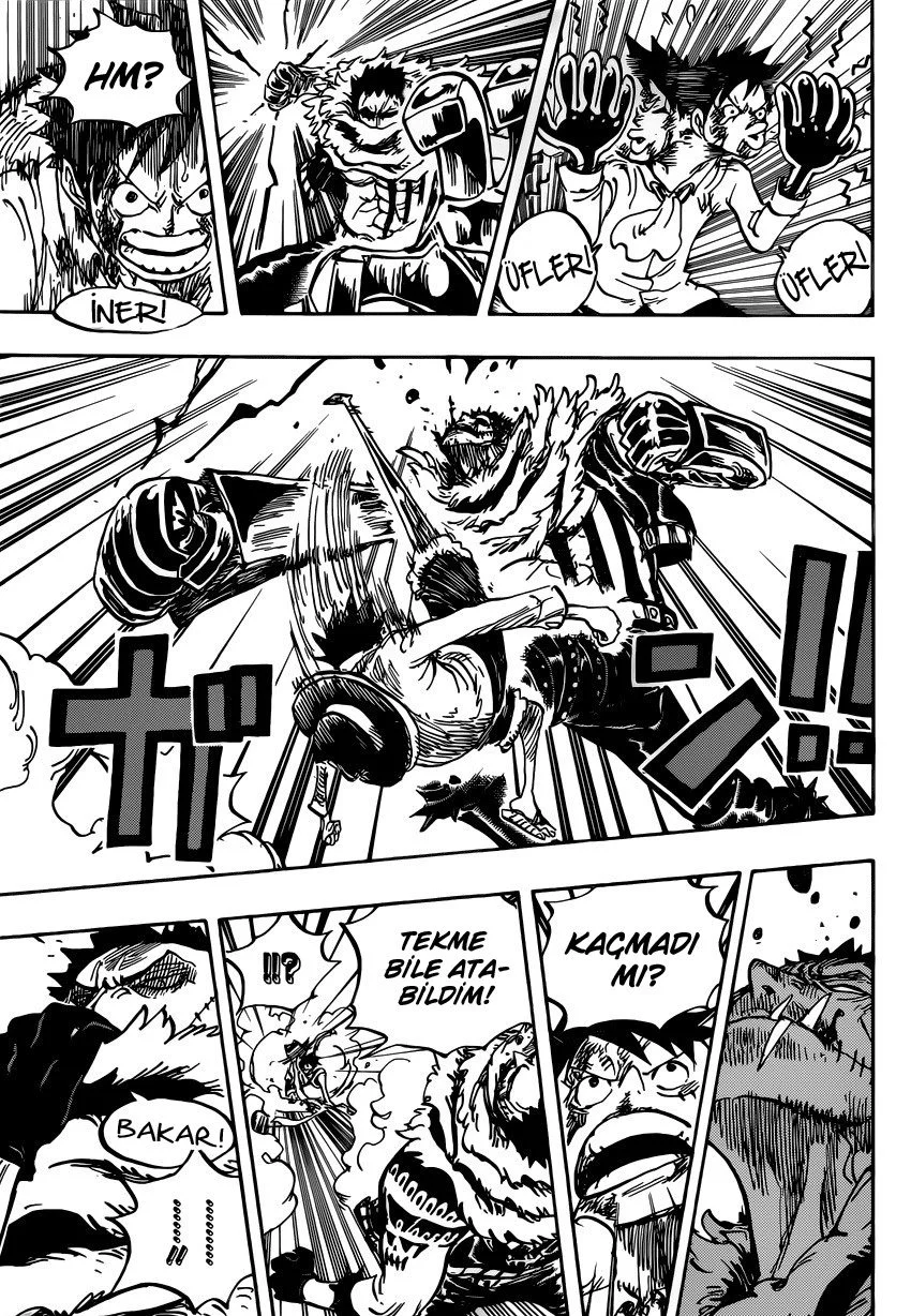 One Piece - Bölüm 883 - Sayfa 14