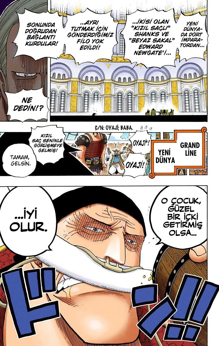 One Piece - Bölüm 433 - Sayfa 18
