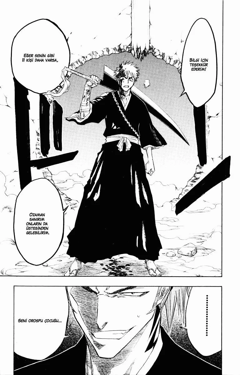 Bleach - Bölüm 95 - Sayfa 19