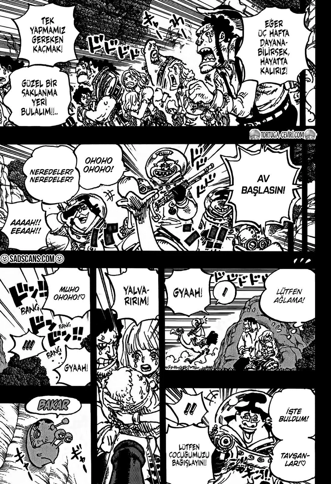 One Piece - Bölüm 1160 - Sayfa 5