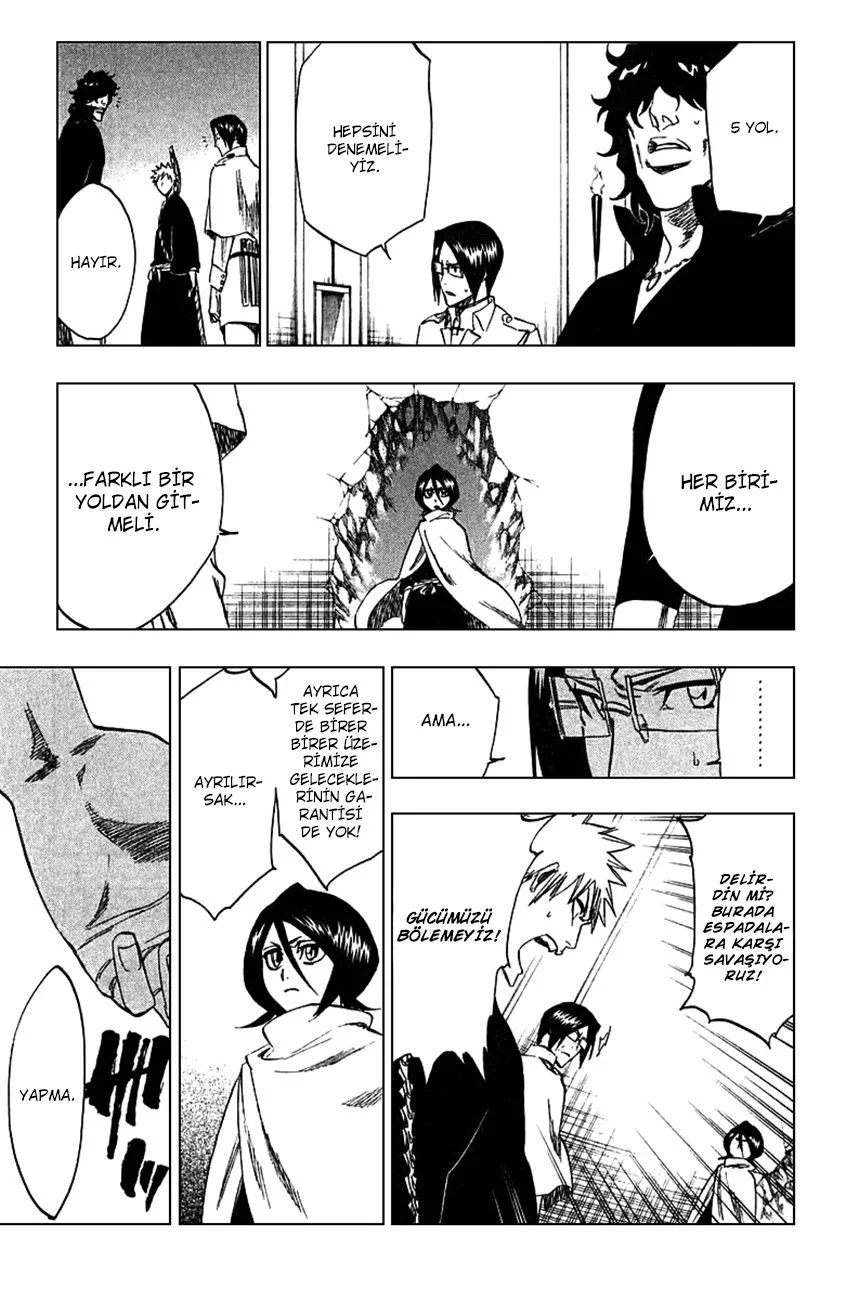Bleach - Bölüm 248 - Sayfa 13