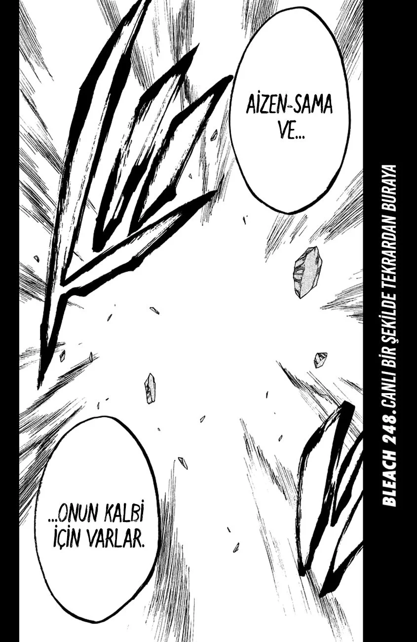 Bleach - Bölüm 248 - Sayfa 4