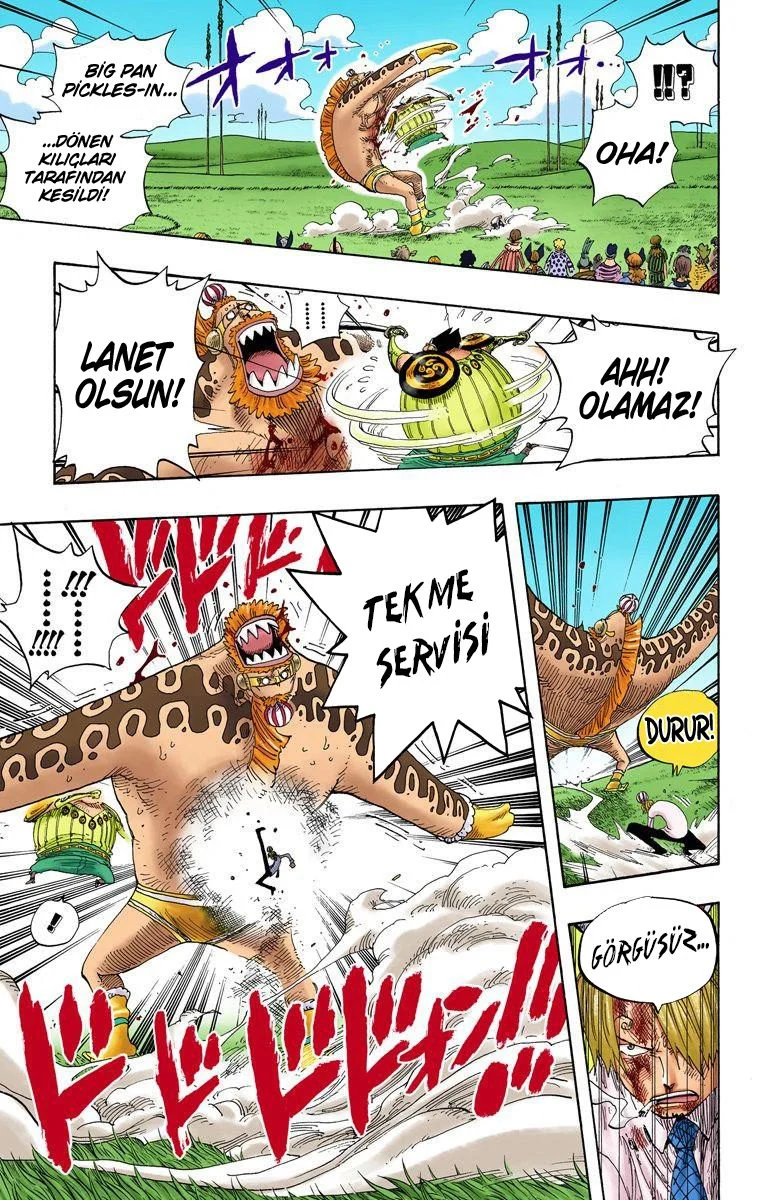 One Piece - Bölüm 312 - Sayfa 13