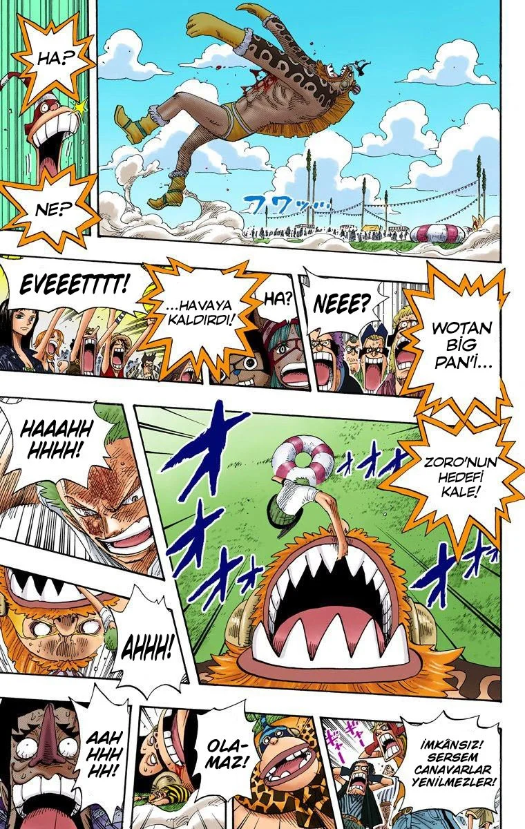 One Piece - Bölüm 312 - Sayfa 17