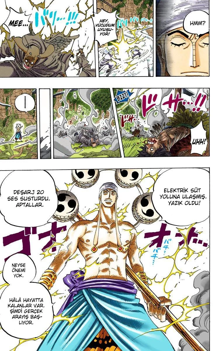 One Piece - Bölüm 264 - Sayfa 17