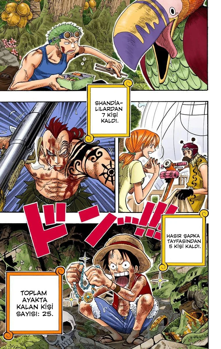 One Piece - Bölüm 264 - Sayfa 19