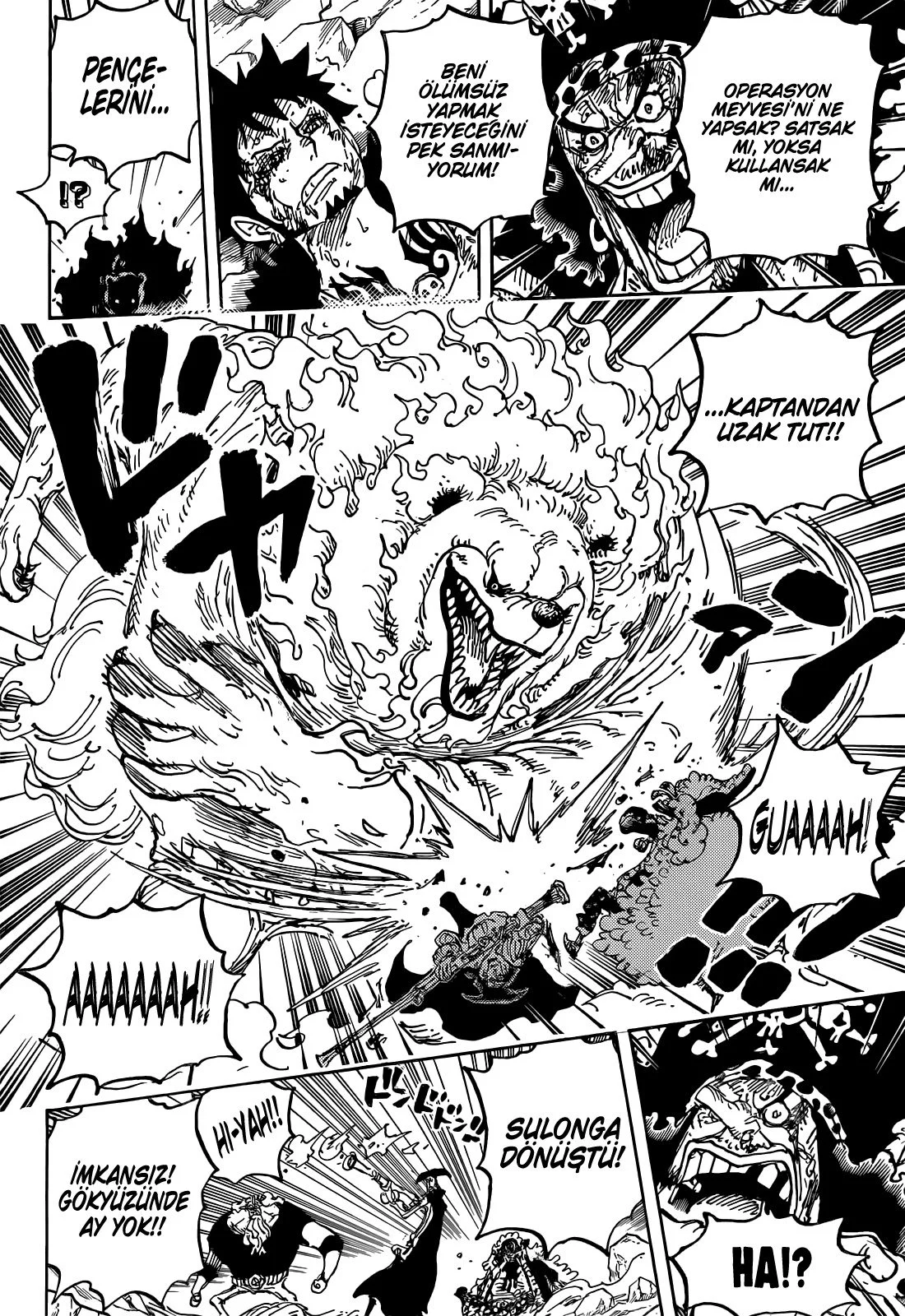 One Piece - Bölüm 1081 - Sayfa 14