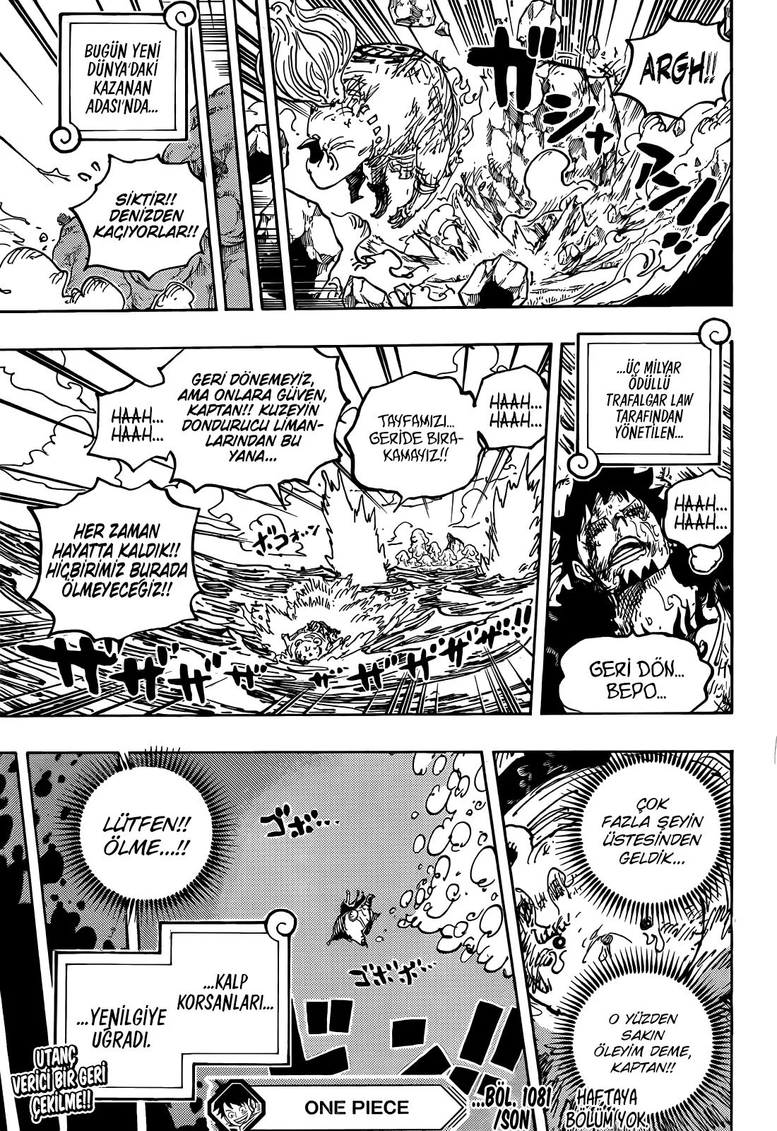 One Piece - Bölüm 1081 - Sayfa 15