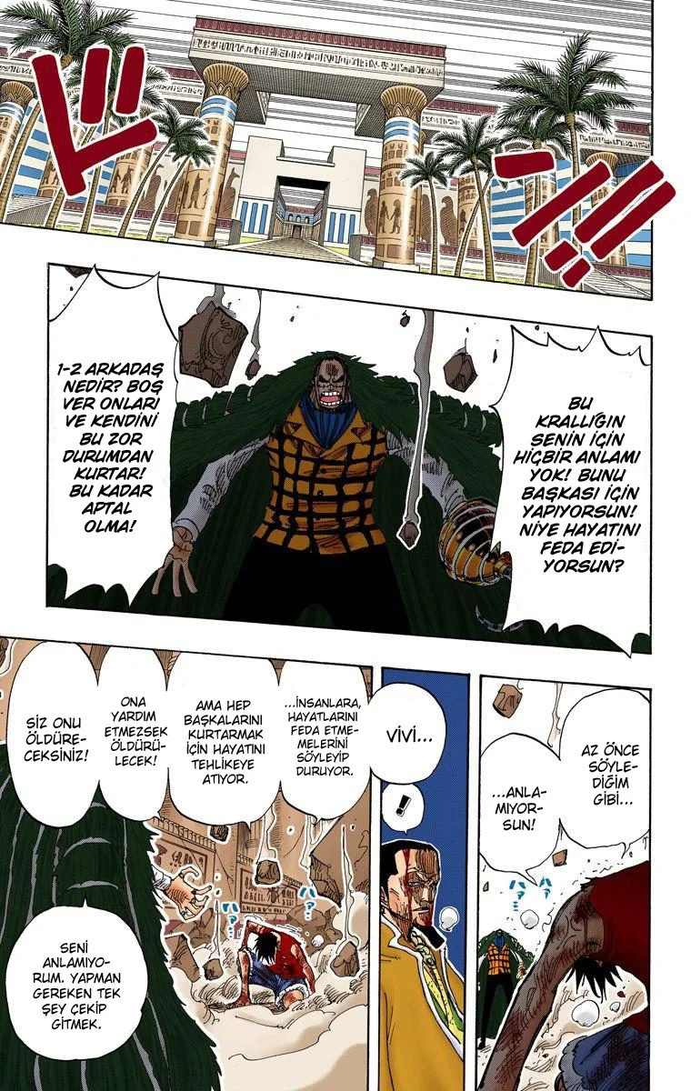 One Piece - Bölüm 206 - Sayfa 17