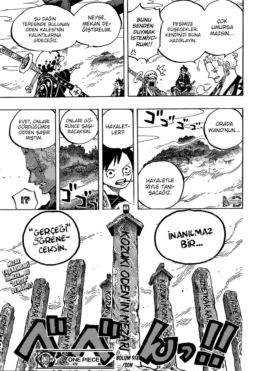 One Piece - Bölüm 918 - Sayfa 16