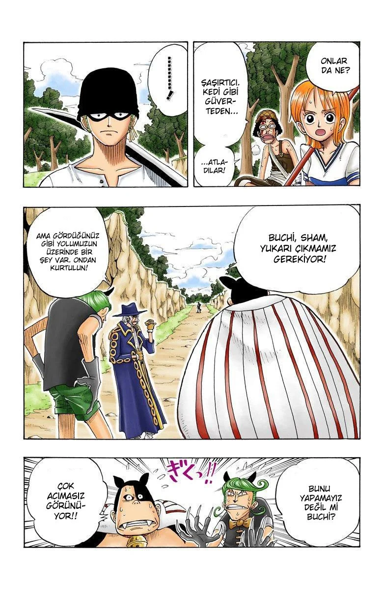 One Piece - Bölüm 31 - Sayfa 15