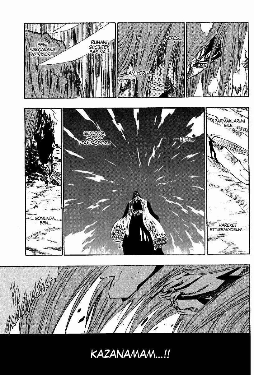 Bleach - Bölüm 143 - Sayfa 13