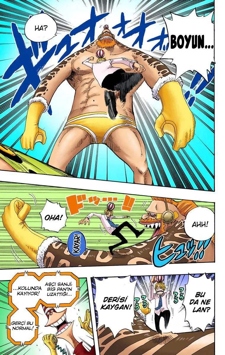 One Piece - Bölüm 310 - Sayfa 10