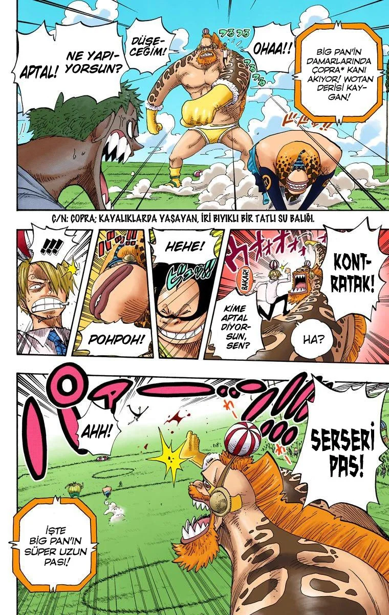 One Piece - Bölüm 310 - Sayfa 11
