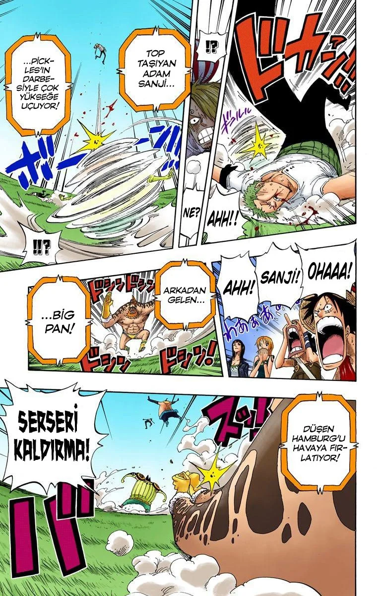 One Piece - Bölüm 310 - Sayfa 14