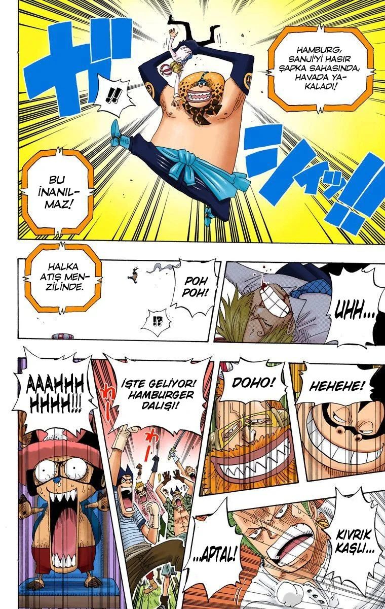 One Piece - Bölüm 310 - Sayfa 15