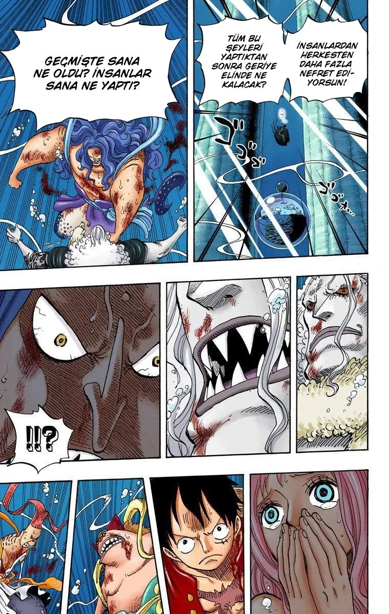 One Piece - Bölüm 641 - Sayfa 13