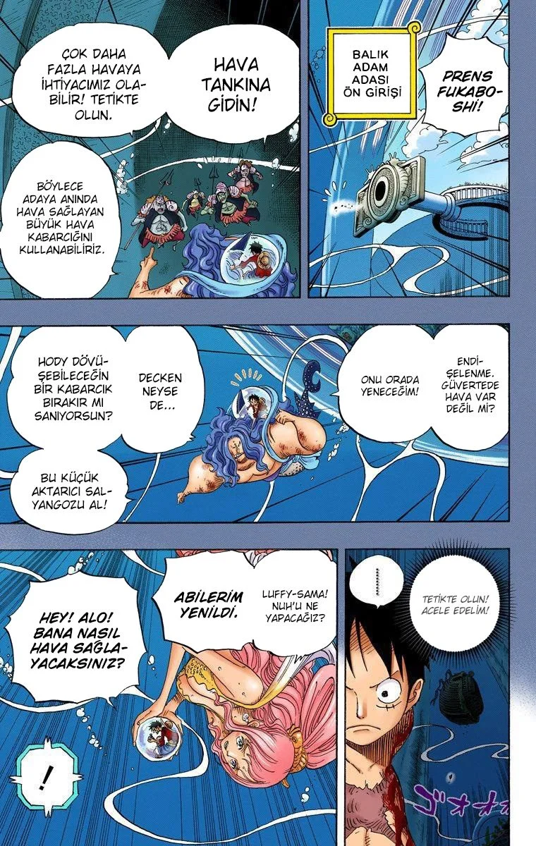 One Piece - Bölüm 641 - Sayfa 15