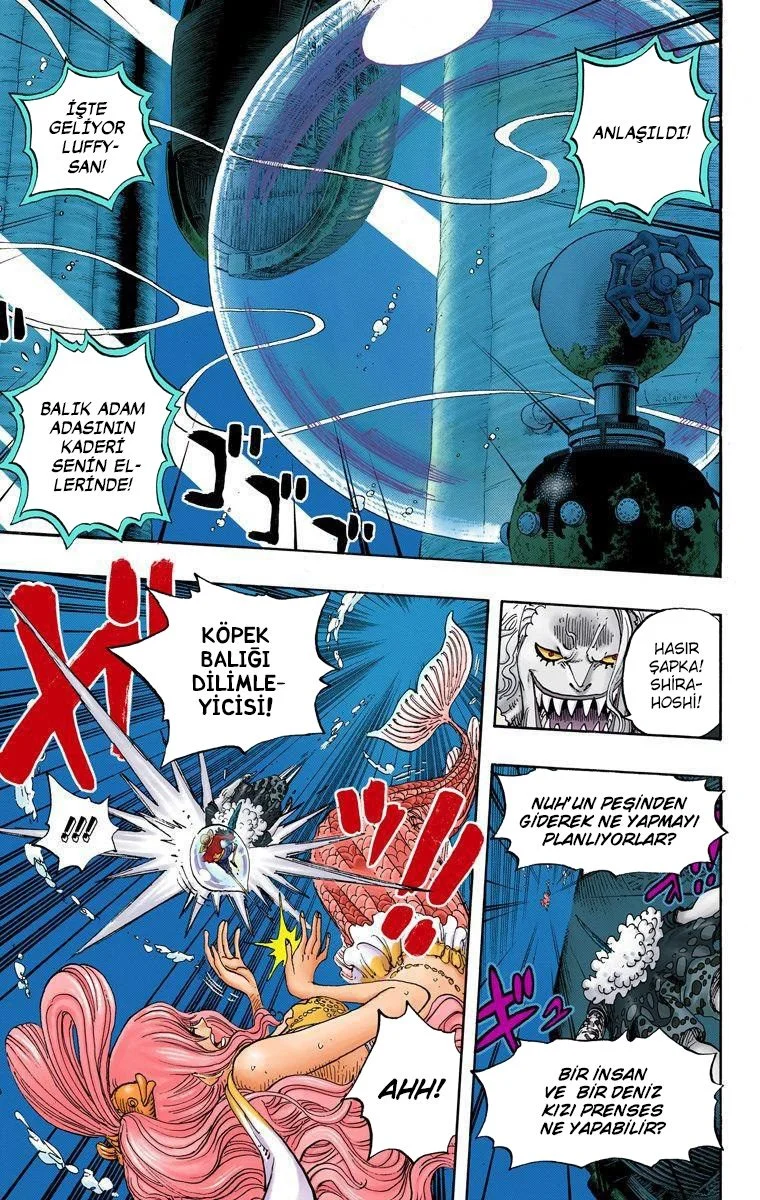 One Piece - Bölüm 641 - Sayfa 17