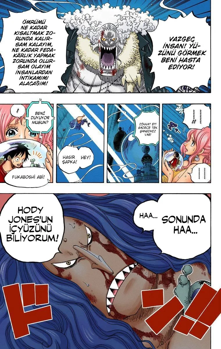 One Piece - Bölüm 641 - Sayfa 19