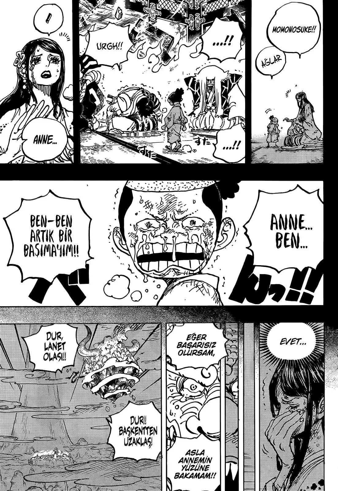 One Piece - Bölüm 1047 - Sayfa 5