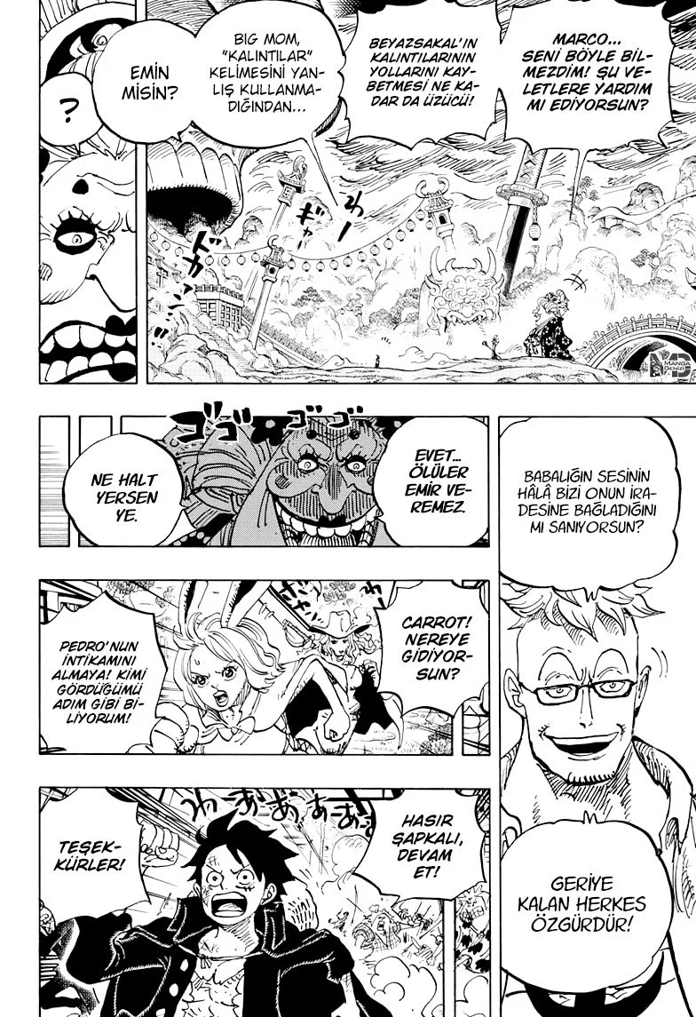 One Piece - Bölüm 992 - Sayfa 4