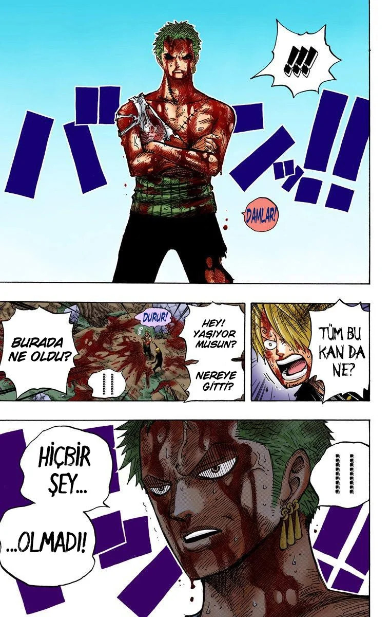 One Piece - Bölüm 485 - Sayfa 19