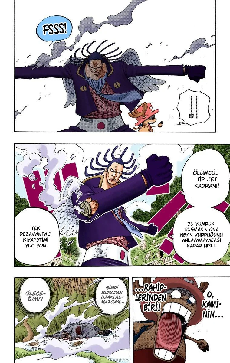 One Piece - Bölüm 262 - Sayfa 10