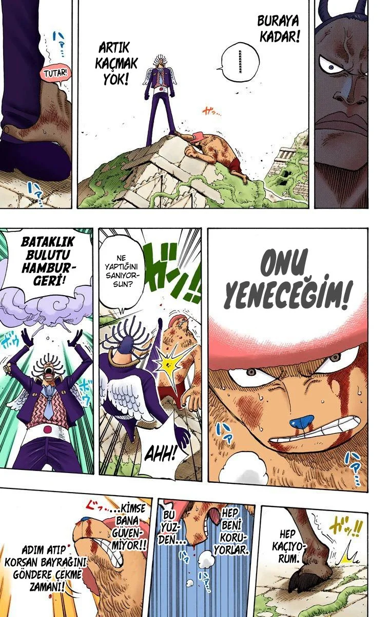 One Piece - Bölüm 262 - Sayfa 15