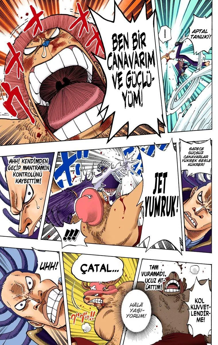 One Piece - Bölüm 262 - Sayfa 17