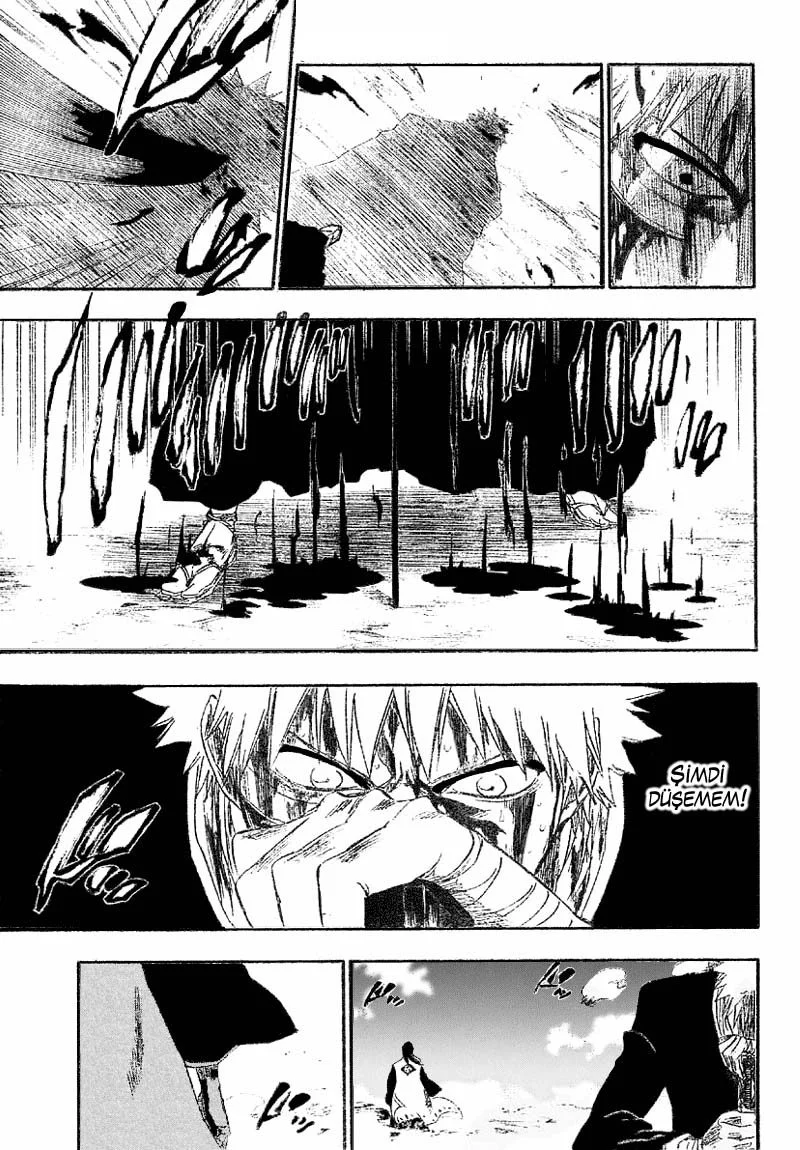 Bleach - Bölüm 167 - Sayfa 5