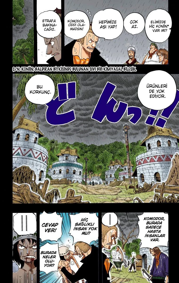 One Piece - Bölüm 287 - Sayfa 13