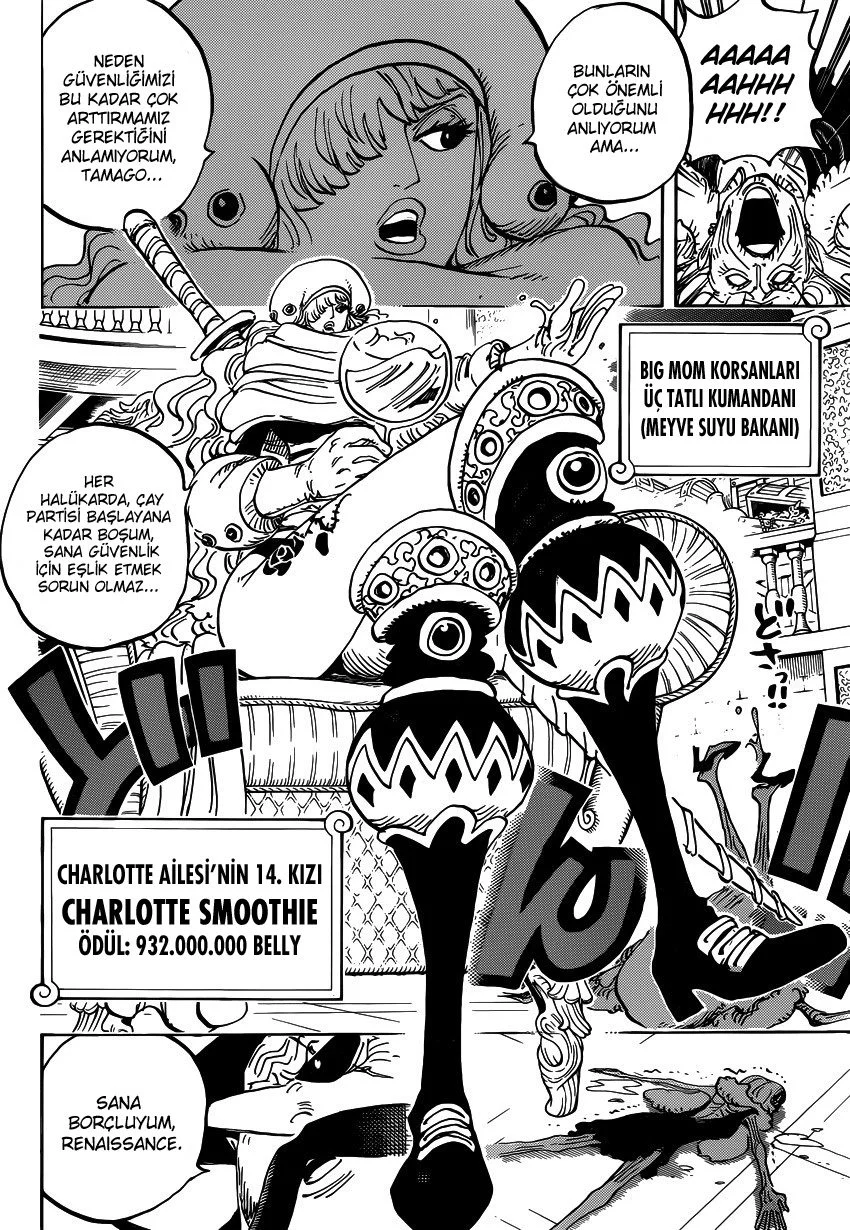 One Piece - Bölüm 846 - Sayfa 13