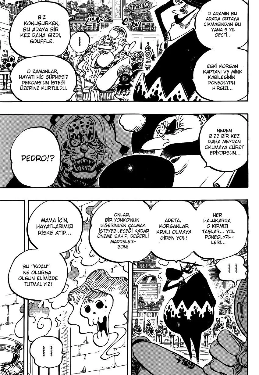 One Piece - Bölüm 846 - Sayfa 14