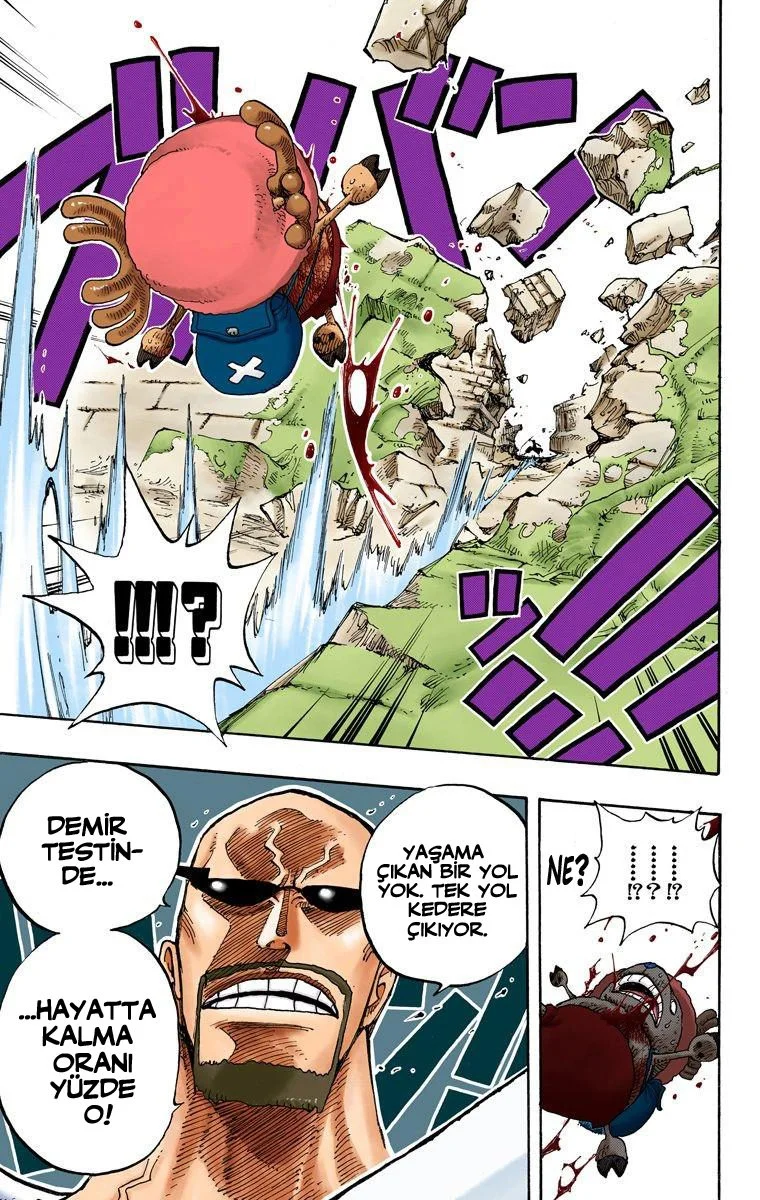 One Piece - Bölüm 266 - Sayfa 19