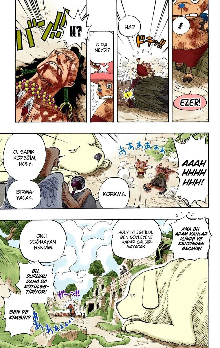 One Piece - Bölüm 266 - Sayfa 9