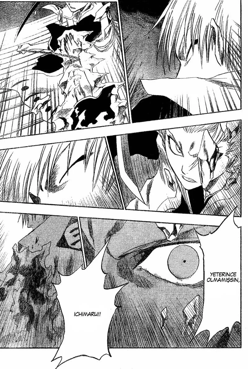 Bleach - Bölüm 132 - Sayfa 10