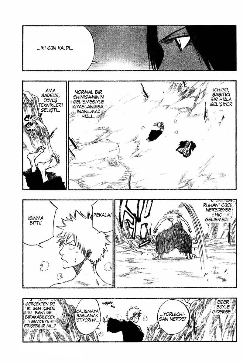 Bleach - Bölüm 132 - Sayfa 17