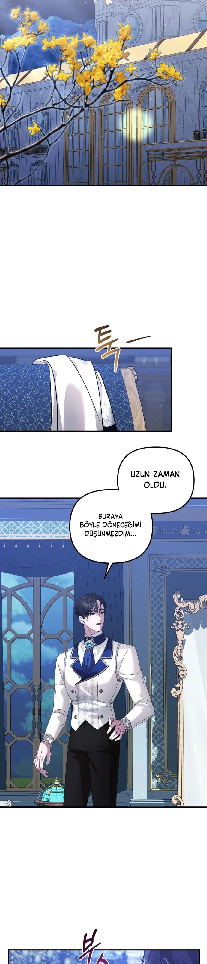 Marriage Alliance for Revenge - Bölüm 74 - Sayfa 17