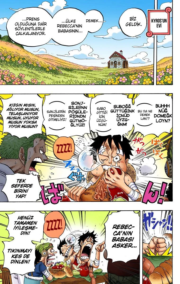 One Piece - Bölüm 796 - Sayfa 10