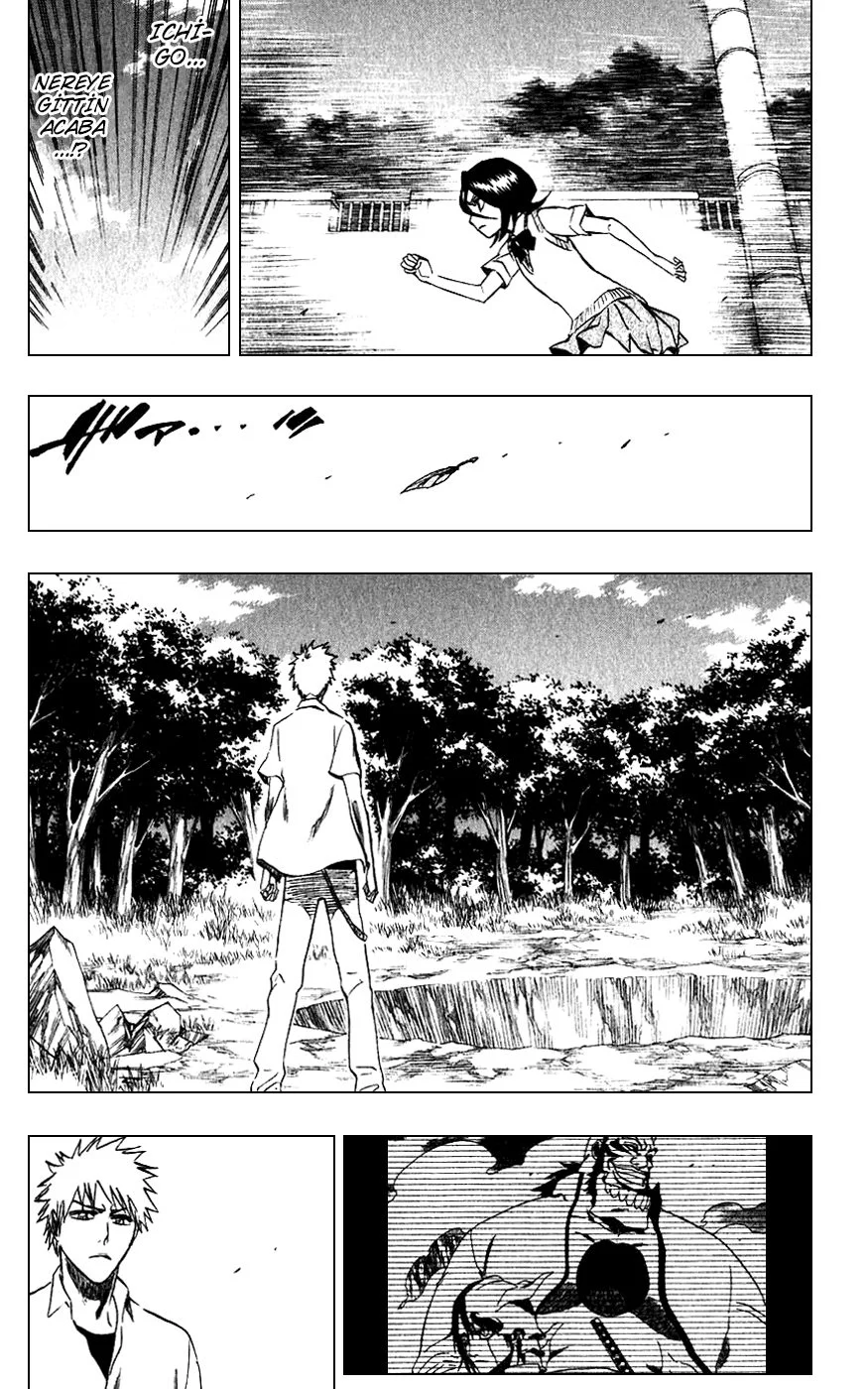 Bleach - Bölüm 214 - Sayfa 10