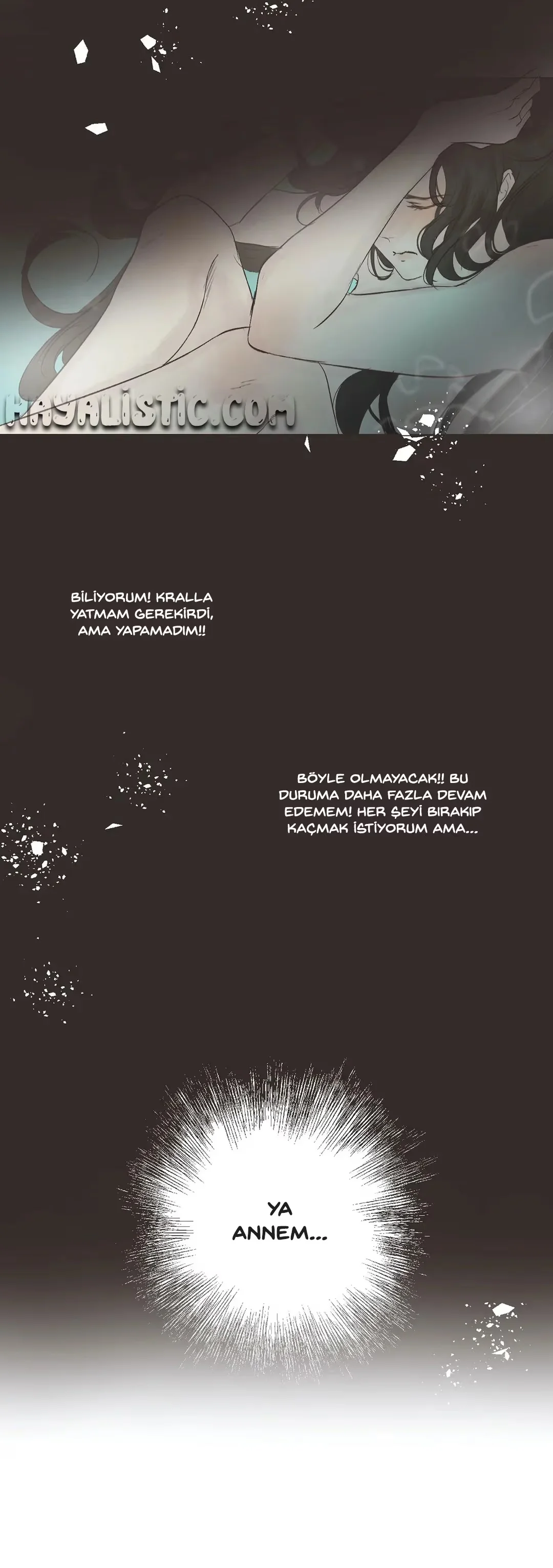 Ellin's Solhwa - Bölüm 17 - Sayfa 15