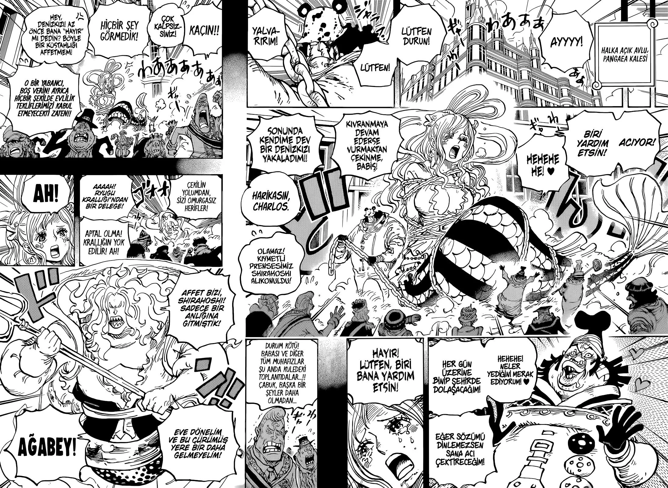 One Piece - Bölüm 1084 - Sayfa 10