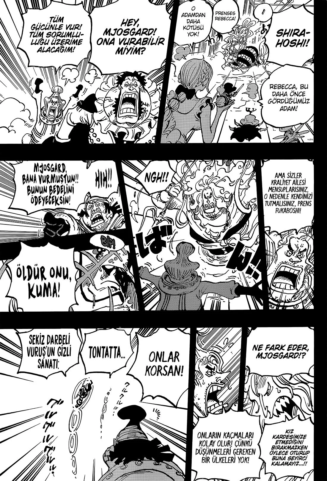 One Piece - Bölüm 1084 - Sayfa 12